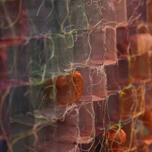 Life through the aspect of color & light