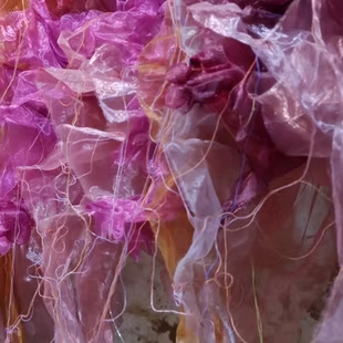 Mango Art Festival 2021